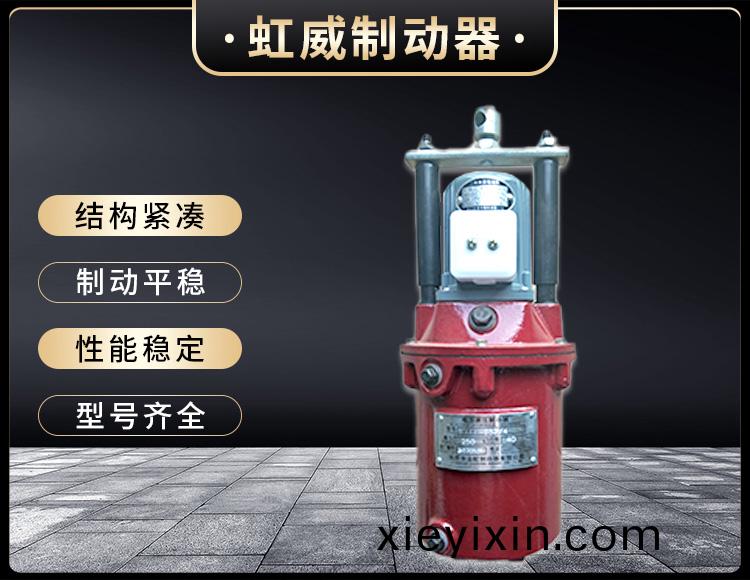 YT1係列電(dian)力液壓(ya)推動器